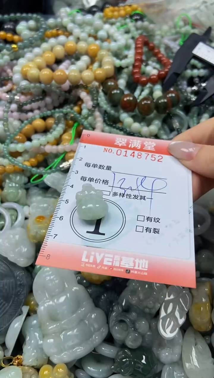 翡翠未镶嵌颈饰闪购0148752