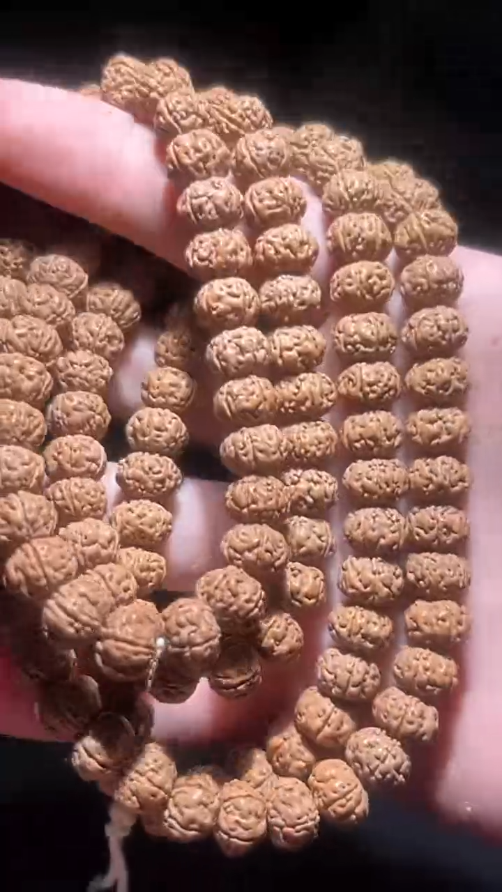 手串金刚菩提周年专属树王88251205-01