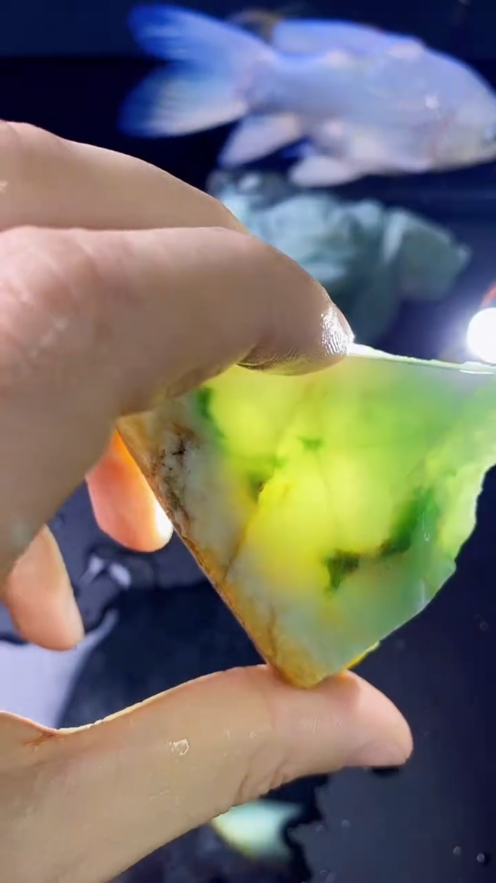 【闪购商品】翡翠颈饰未镶嵌019天然A货翡翠