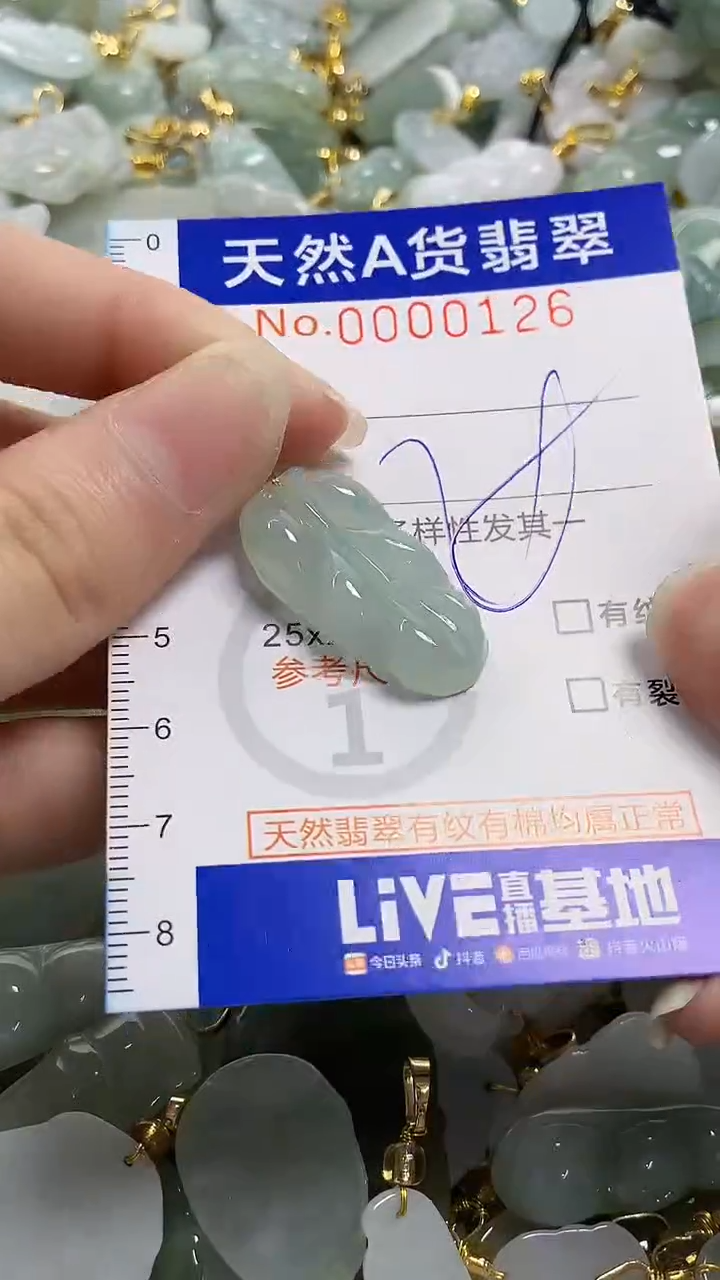 颈饰未镶嵌翡翠纯天然货a翡翠