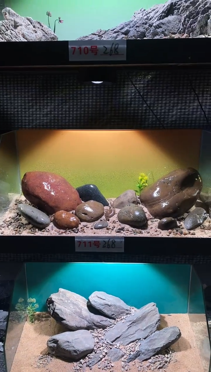 711号鱼缸造景（不含底砂）