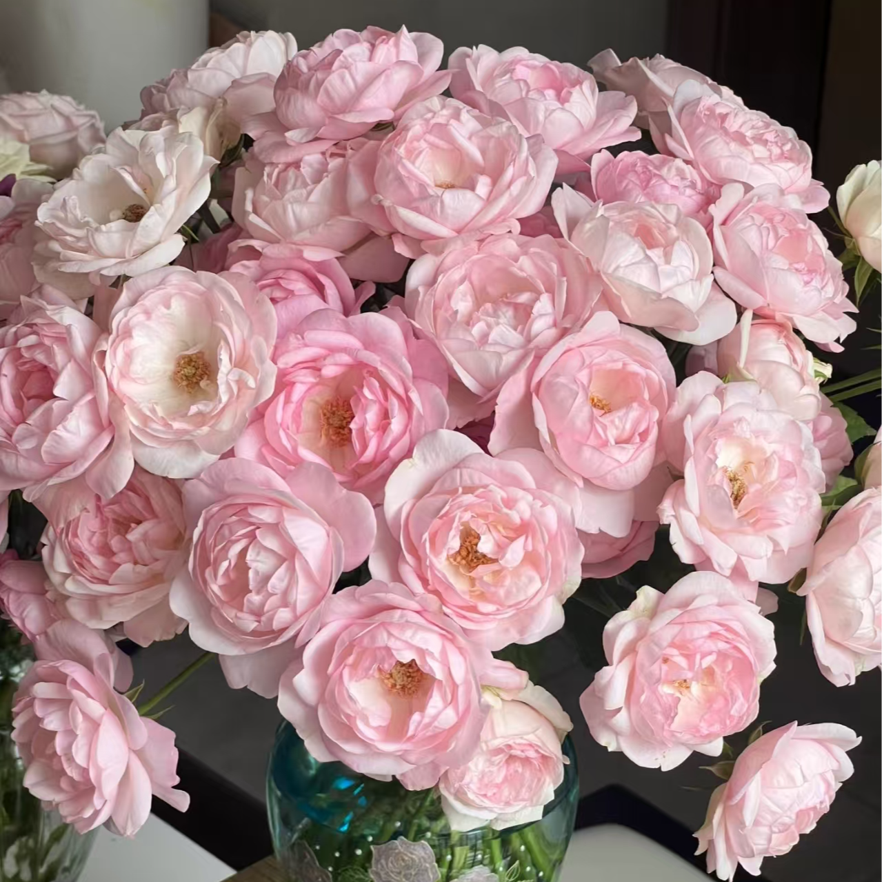 草莓杏仁饼-多头玫瑰鲜花花束鲜花玫瑰