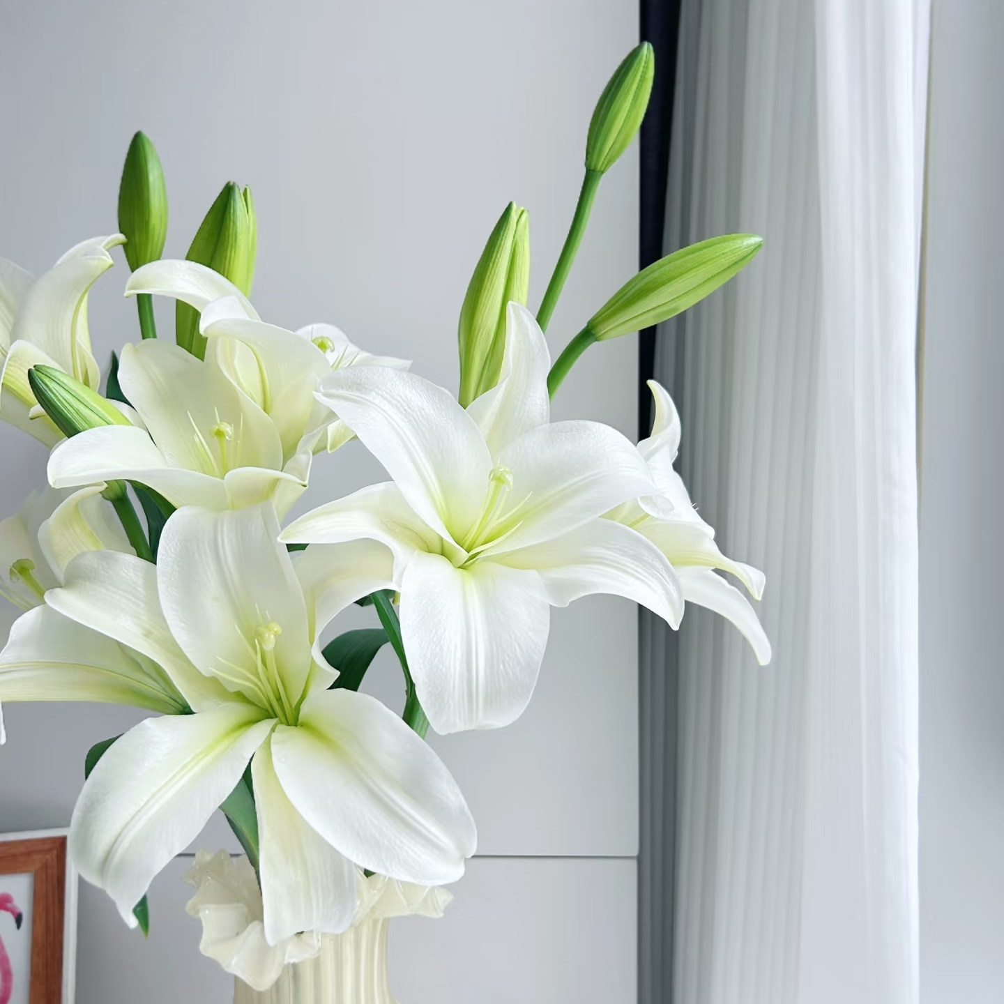 【大王】白铁炮 清香亚百合  同地址任意两单顺丰 一单普通快递