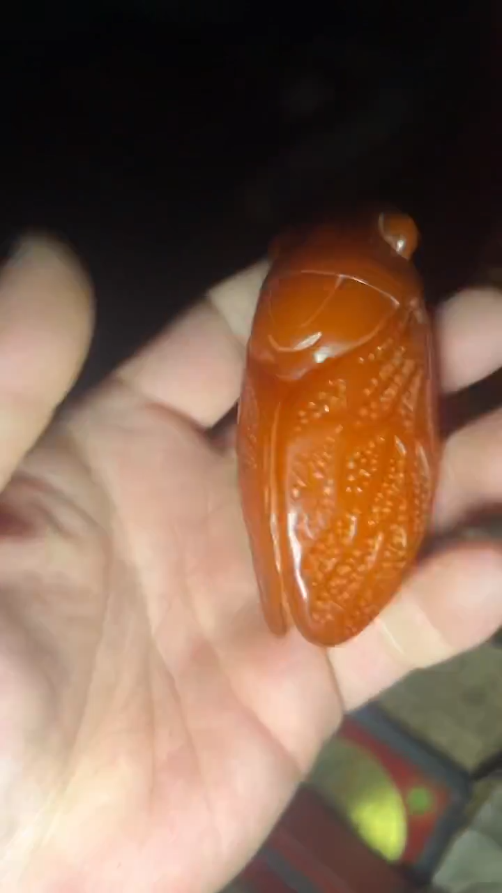 木质【闪购】——————大福利