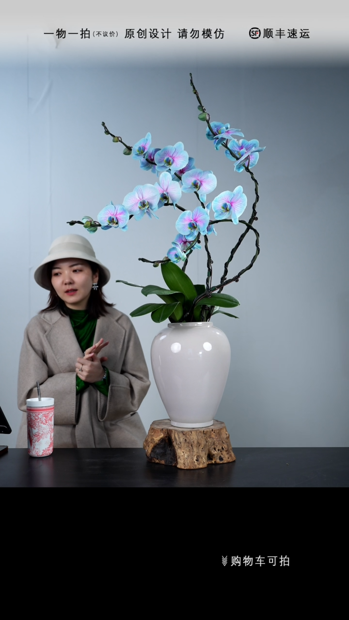 【闪购商品】053号链接【一物一拍】艺术盆景