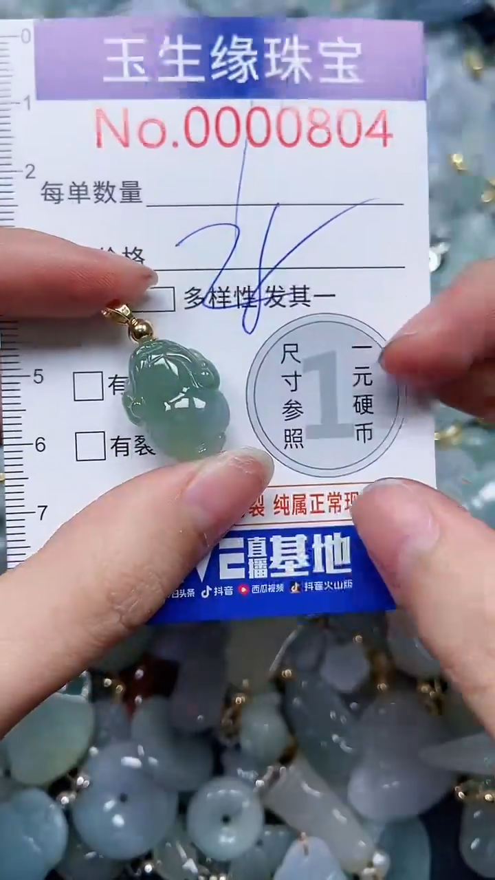 【闪购商品】翡翠颈饰未镶嵌闪购0000804