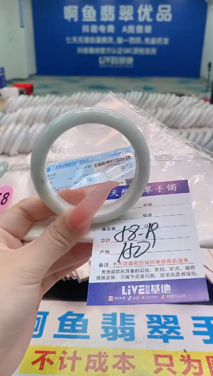 未镶嵌手镯翡翠4