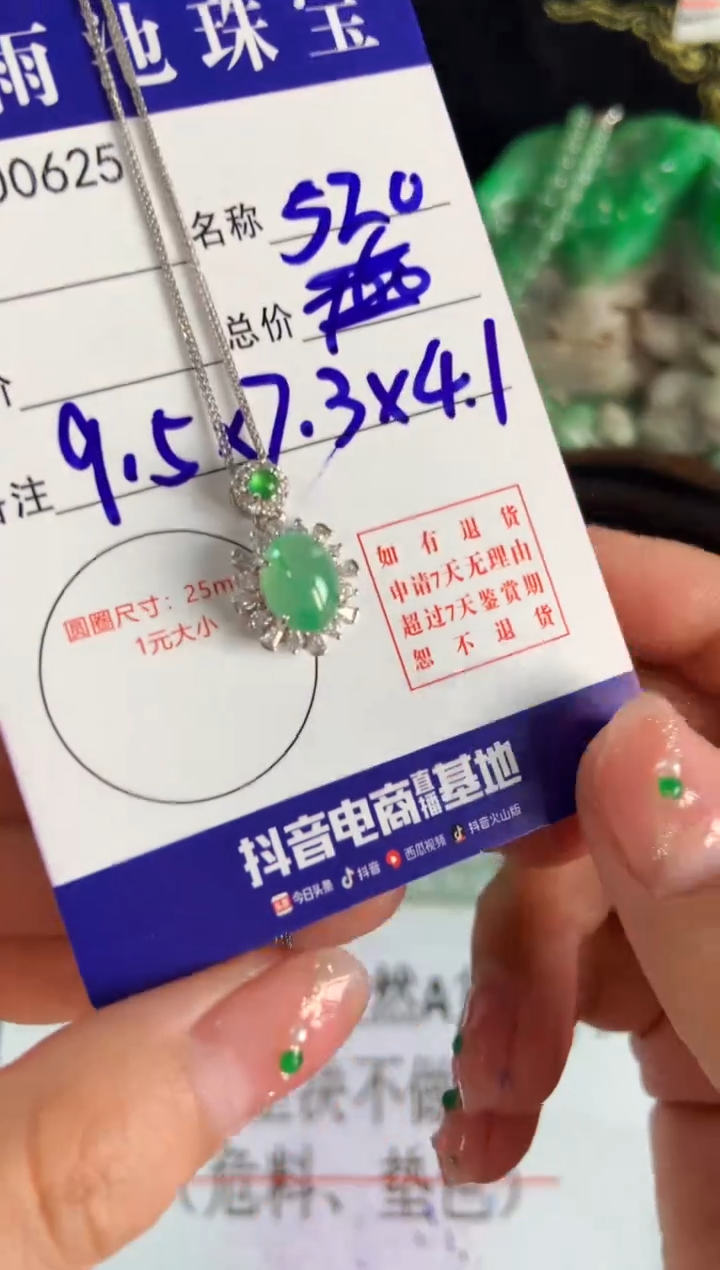 【闪购商品】翡翠颈饰银S925镶嵌翡翠