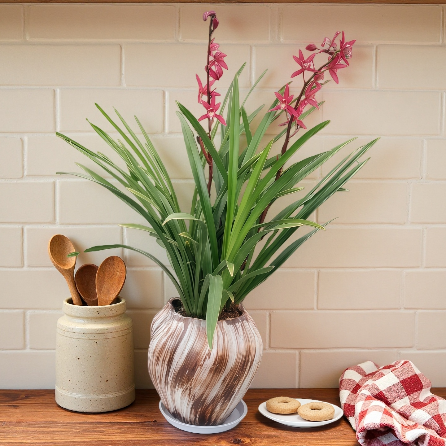 带花剑花苞易养护长花期清香室内兰花盆栽