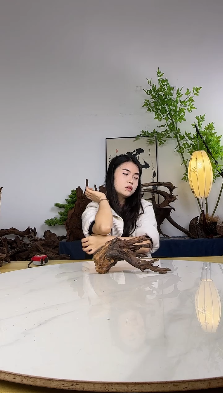 画****帅拍沉木定向链接编号48