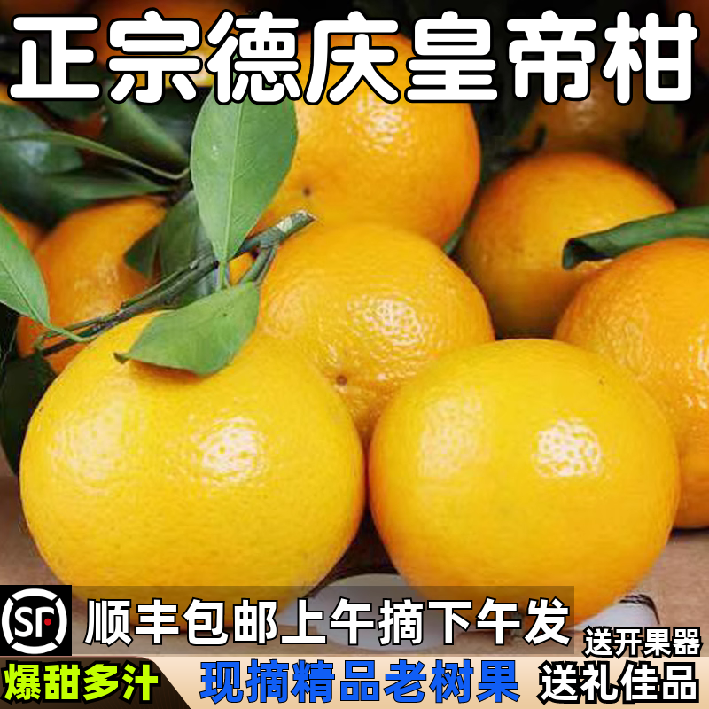 正宗老树德庆皇帝柑广东贡柑橘桔子现摘当季新鲜水果10斤整箱包邮