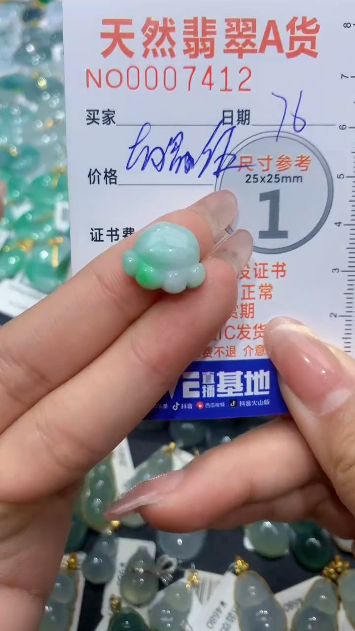 【闪购商品】翡翠颈饰未镶嵌天然缅甸A货翡翠76