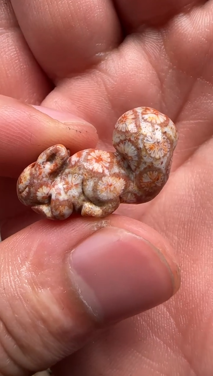 【闪购商品】硅化珊瑚（珊瑚玉）颈饰未镶嵌746