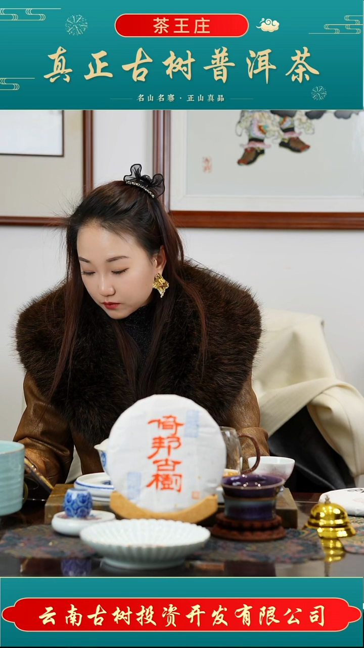 2020年倚邦古树头春熟茶357克