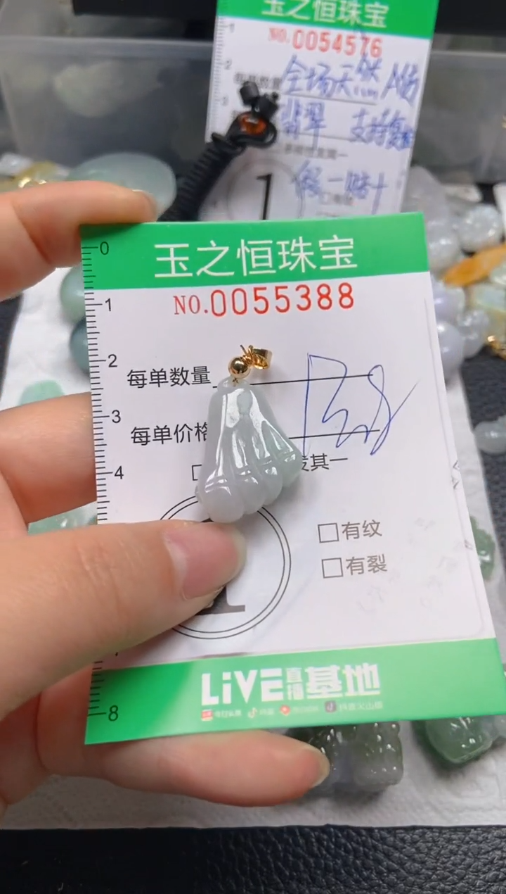 【闪购商品】翡翠未镶嵌颈饰闪购0055388