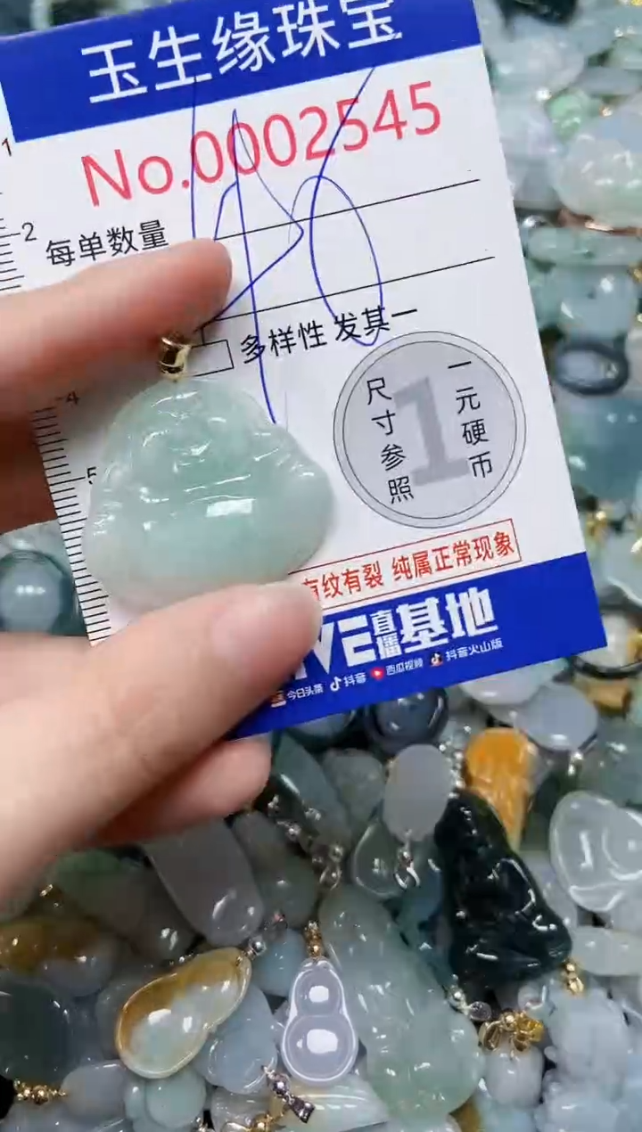 【闪购商品】翡翠颈饰未镶嵌闪购00002545