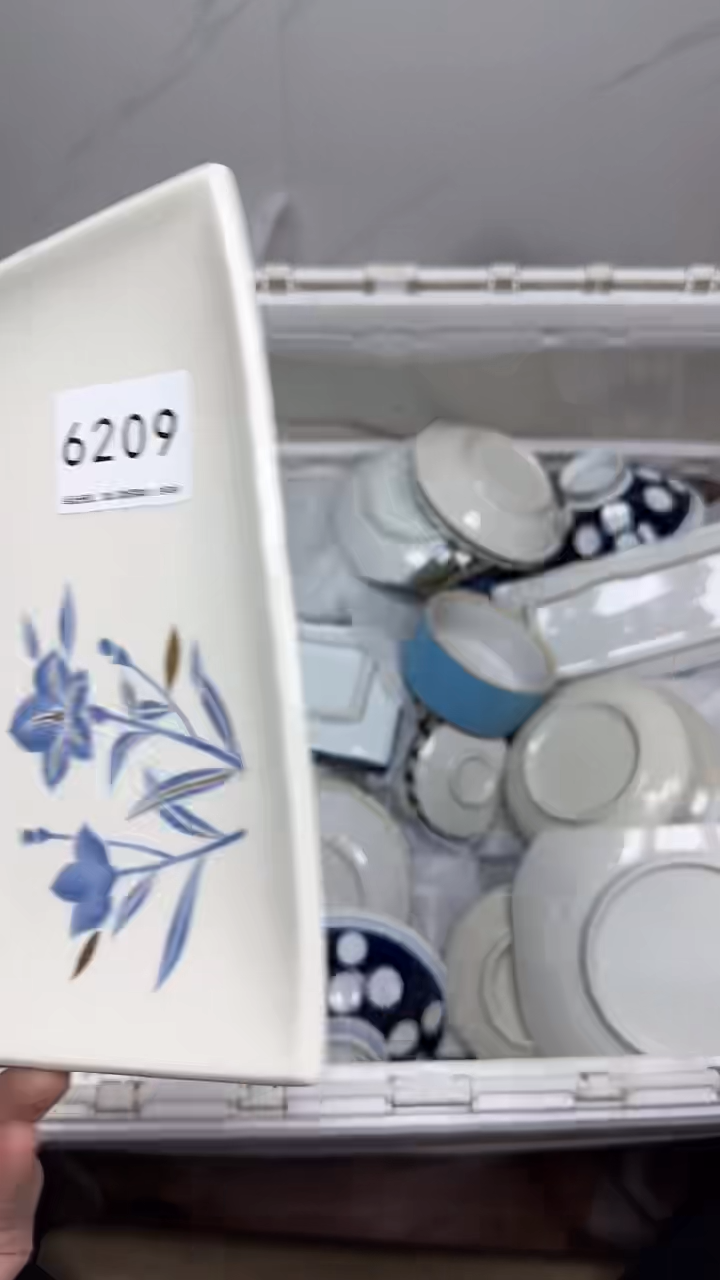 【闪购商品】6209回流瓷器默认微瑕，18.8包邮