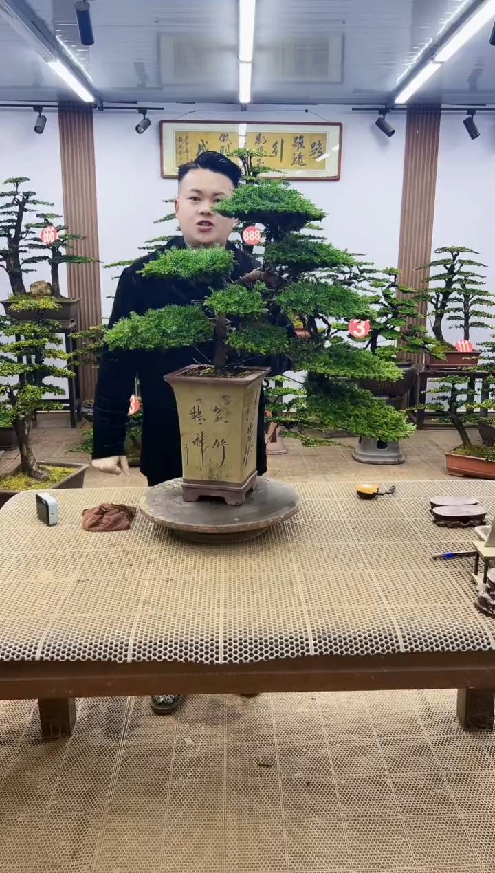 【闪购商品】00000000