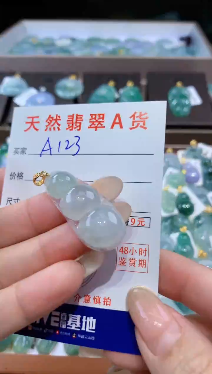 颈饰未镶嵌翡翠 天然翡翠A货挂件