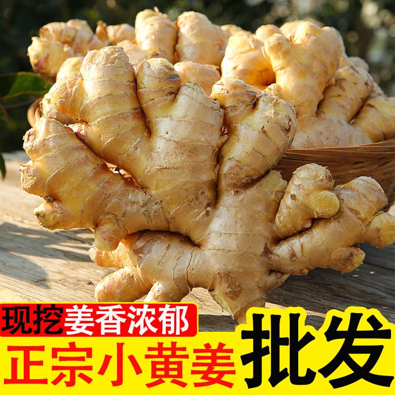 w正宗云南小黄姜山地种植香味浓郁辛辣适中202 5年现挖新老姜210