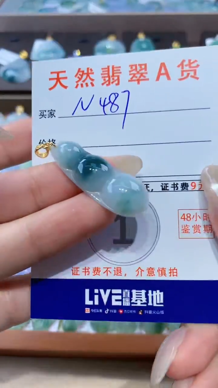 颈饰未镶嵌翡翠天然翡翠A货挂件