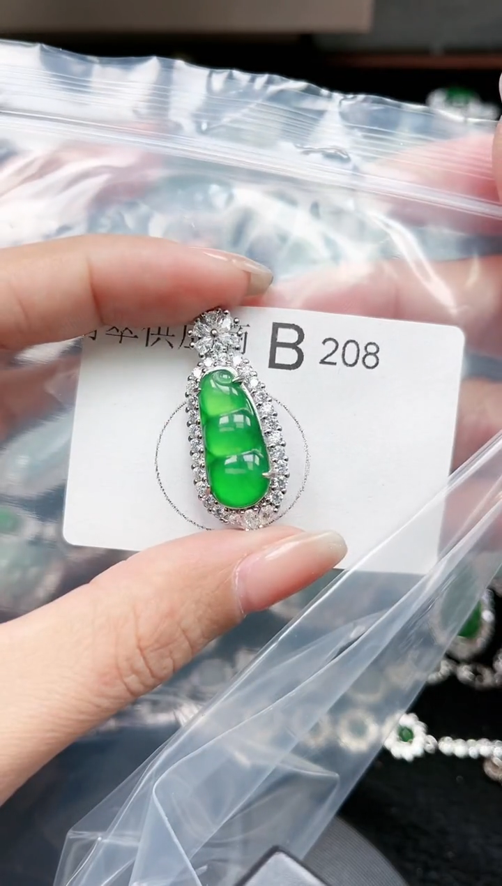 【闪购商品】翡翠颈饰未镶嵌208赠皮绳