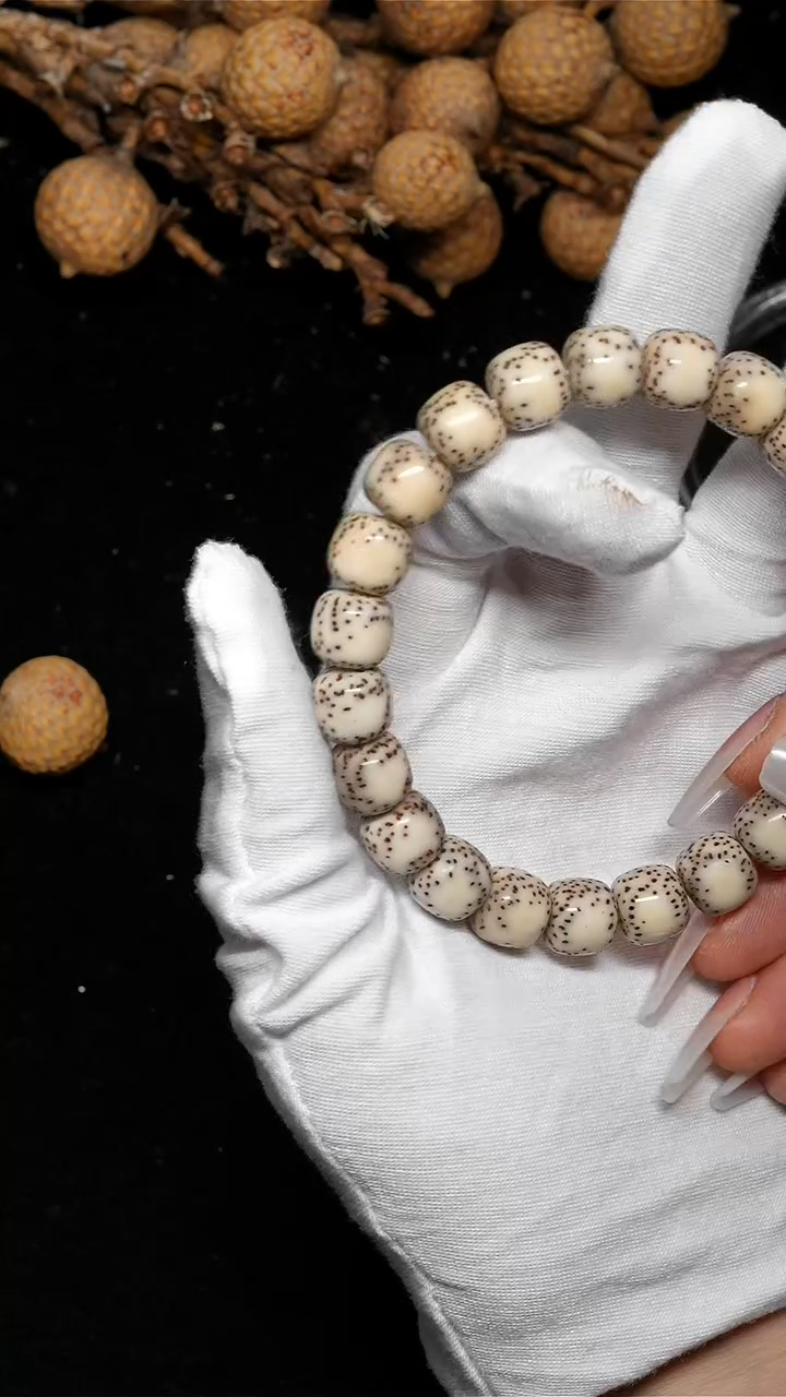 手串星月菩提10*9侧留白大通体-A50