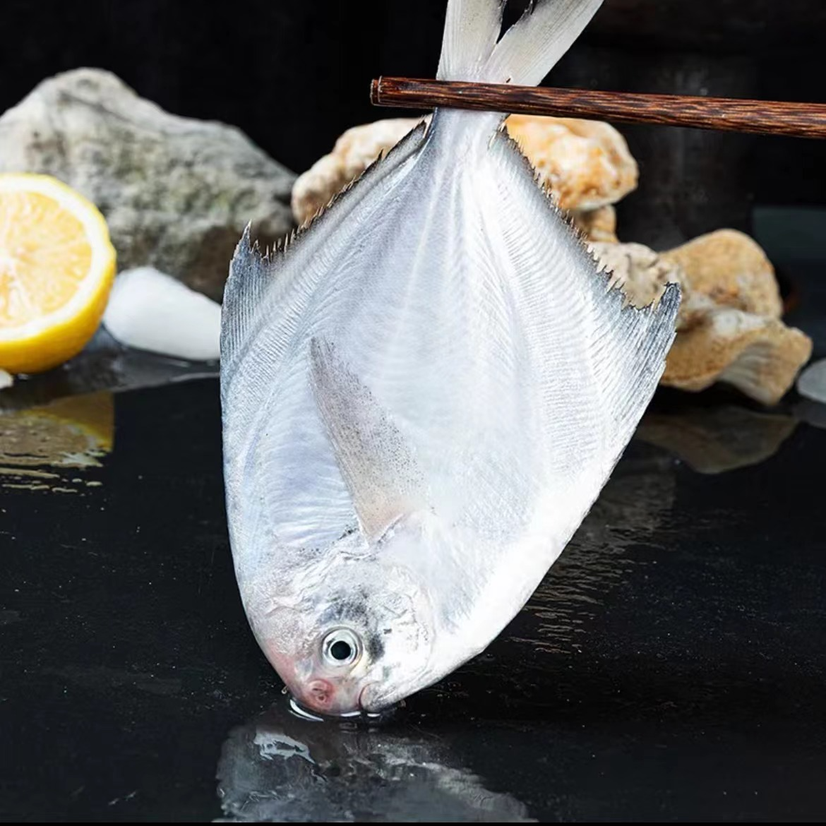 【新鲜旗鲳鱼】上街弟推荐 海鲜海鱼 福州发货 肉质鲜美 鲜甜