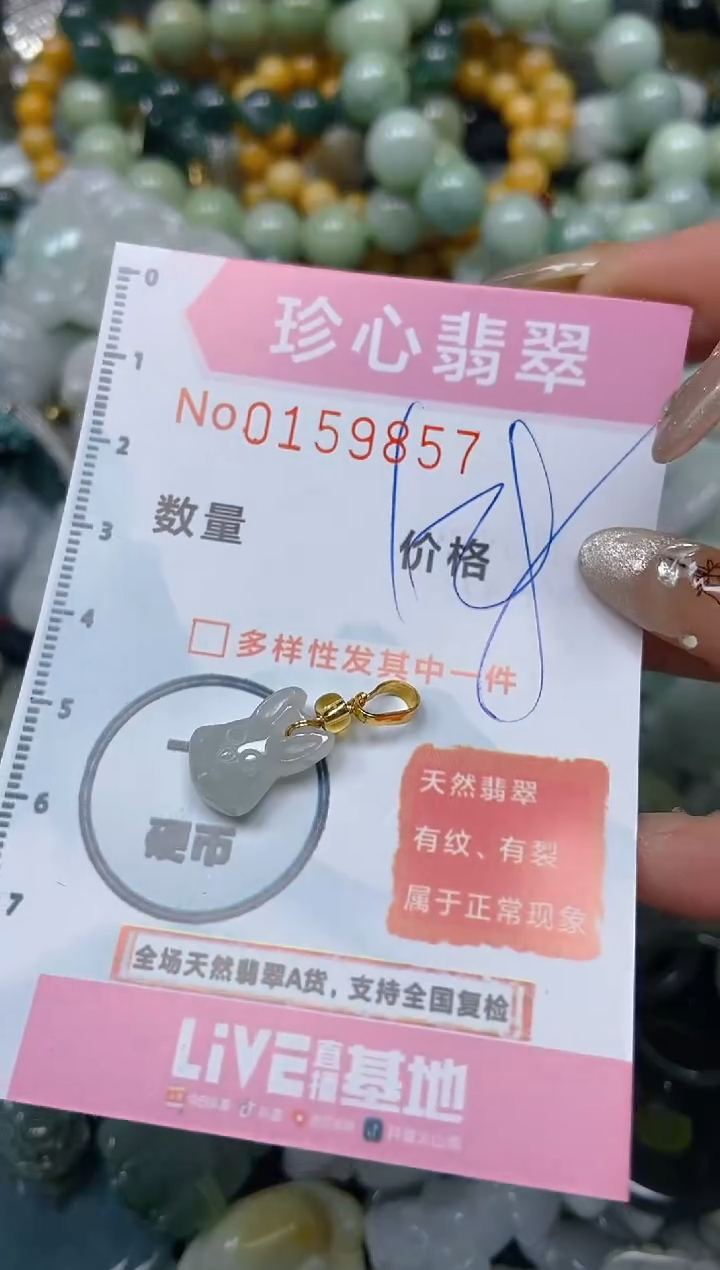 【闪购商品】翡翠颈饰未镶嵌闪购0159857