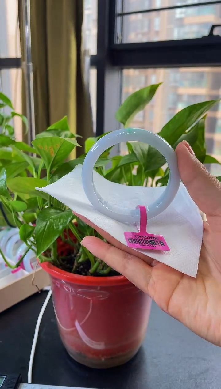 【闪购商品】翡翠未镶嵌手镯手镯 25