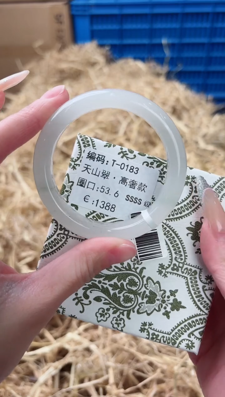 未镶嵌手镯石英质玉T-0183