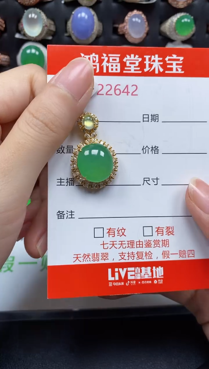 颈饰银S925镶嵌翡翠2642