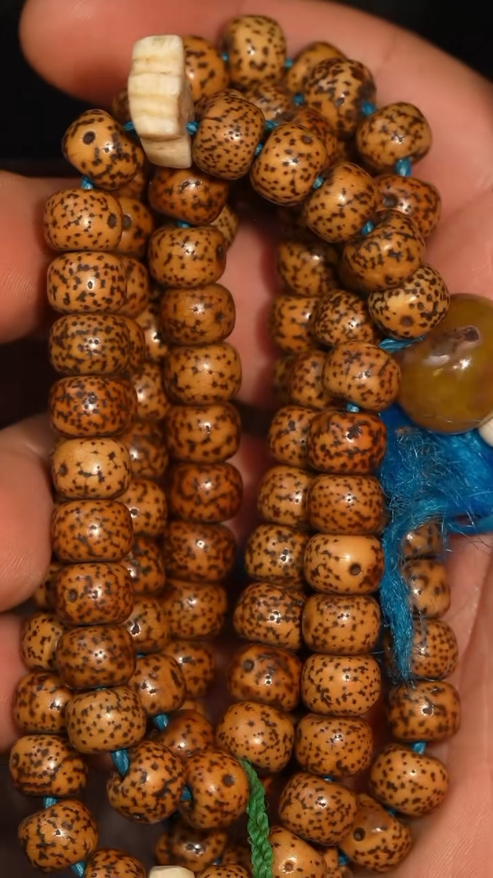 冲赛康胡子哥，藏传念珠201