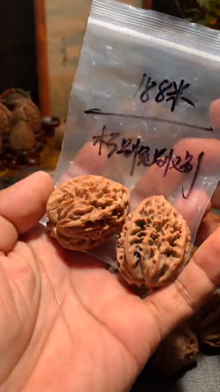 把件桃核朽****别丰泰文玩  招财鼠   36尺寸左右