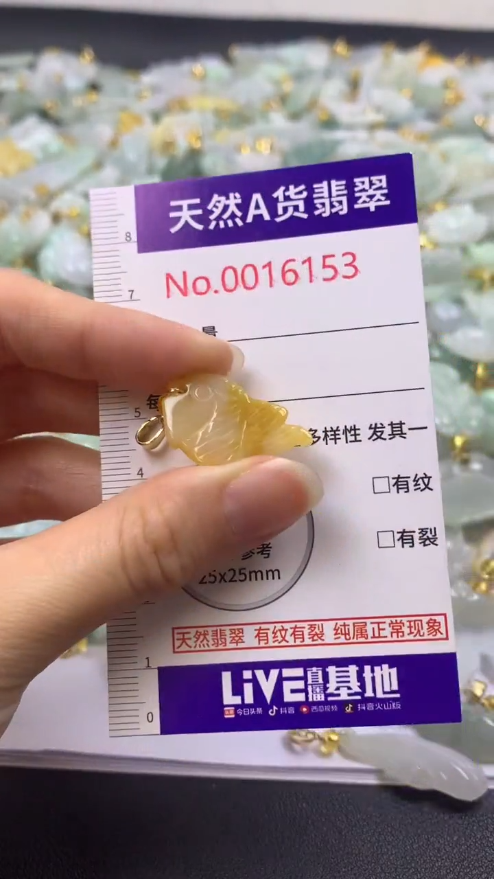 颈饰未镶嵌翡翠1