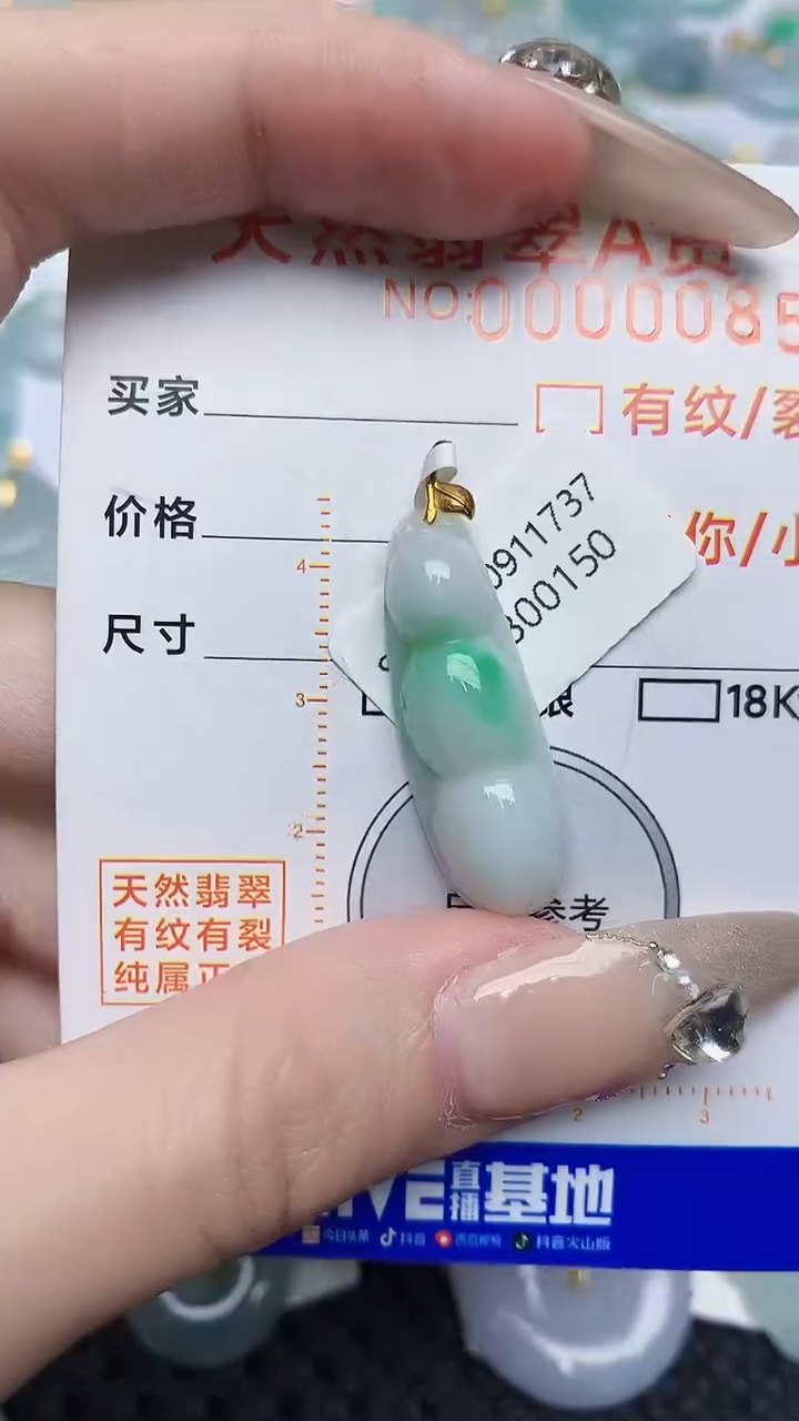 【闪购商品】翡翠颈饰18K金镶嵌546876786786