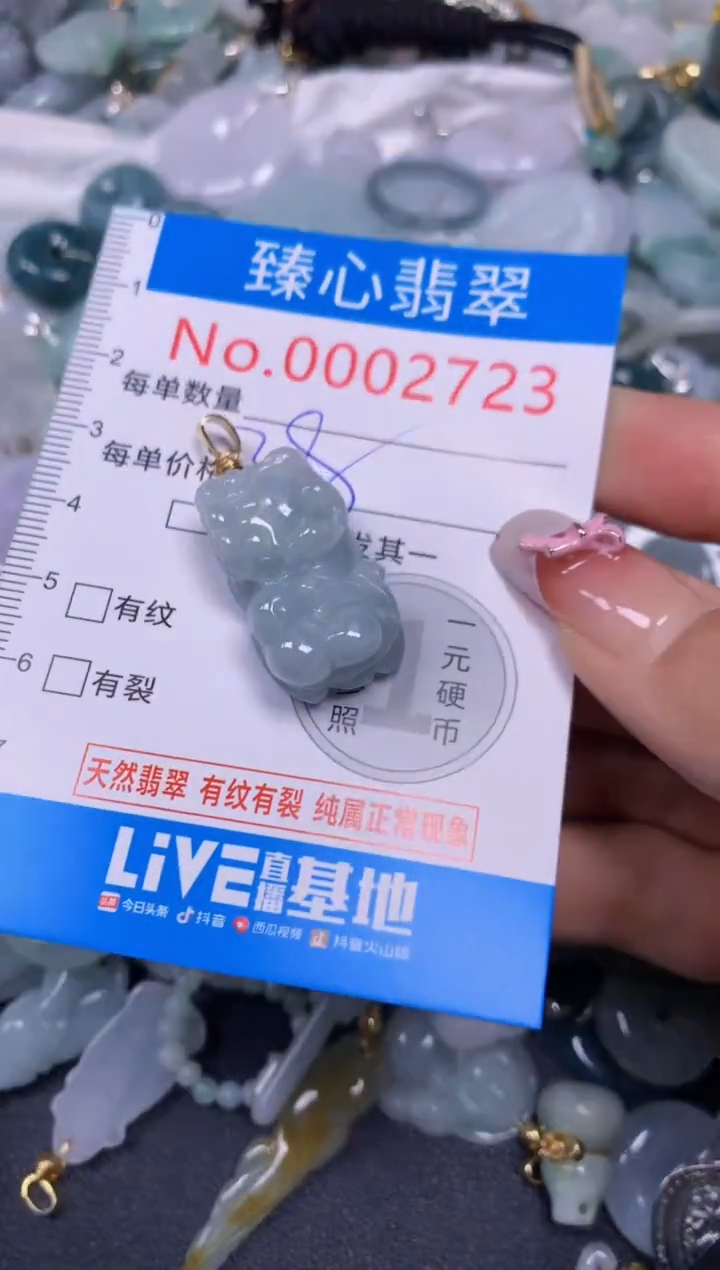 【闪购商品】翡翠颈饰未镶嵌含绳0002723