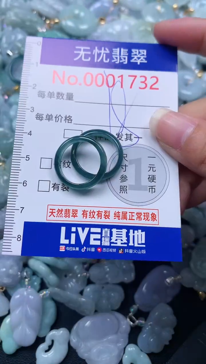 颈饰未镶嵌翡翠1732