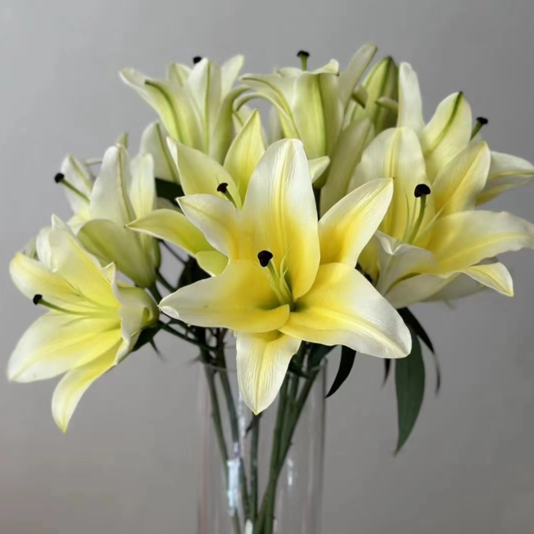 3多头-黄色系百合 生花苞小 任意2单以上发货包邮