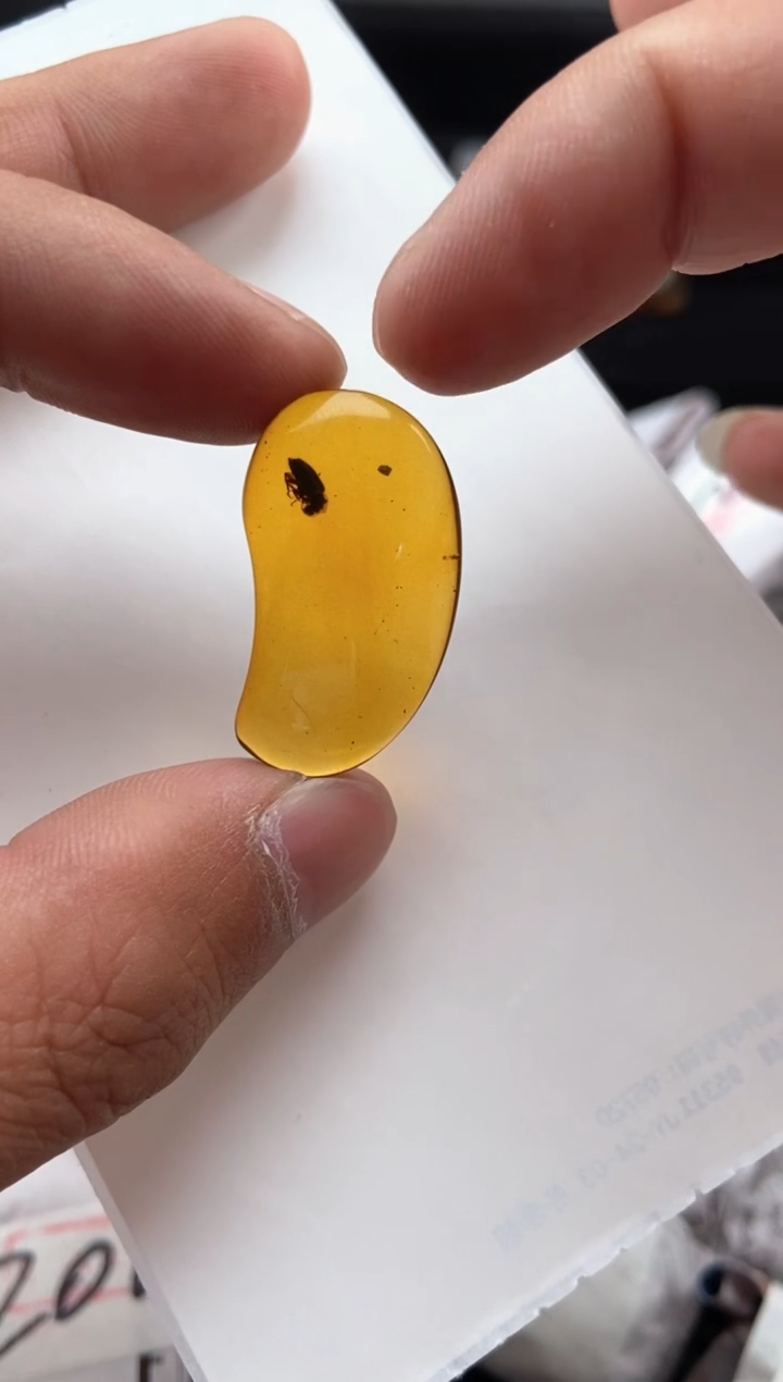 【闪购商品】琥珀颈饰未镶嵌虫珀随形