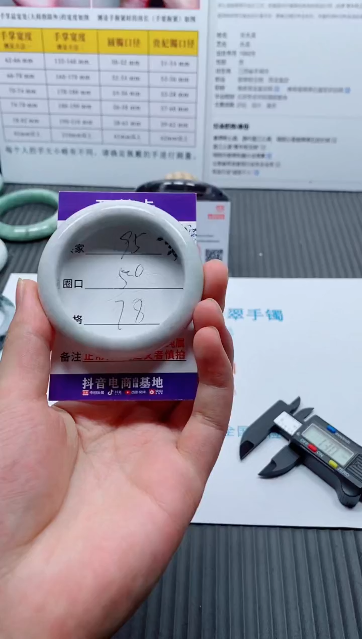 未镶嵌手镯翡翠95
