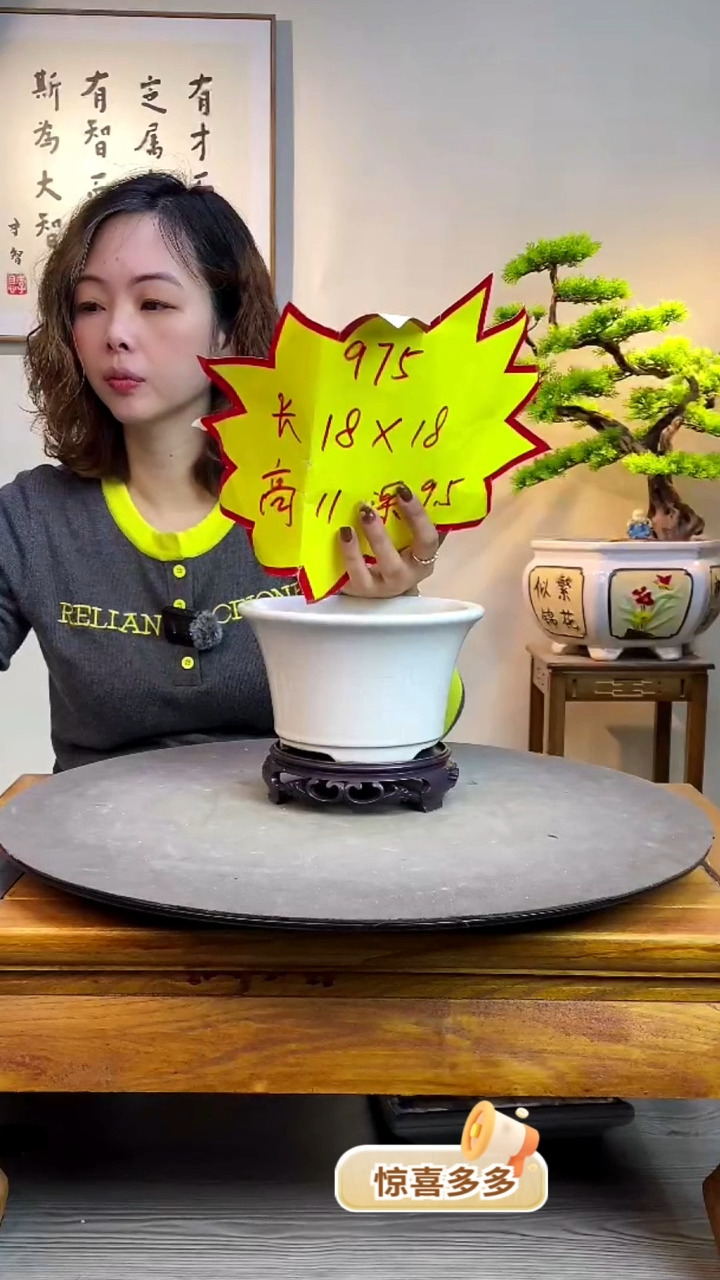 【闪购商品】陶瓷975白色+底座