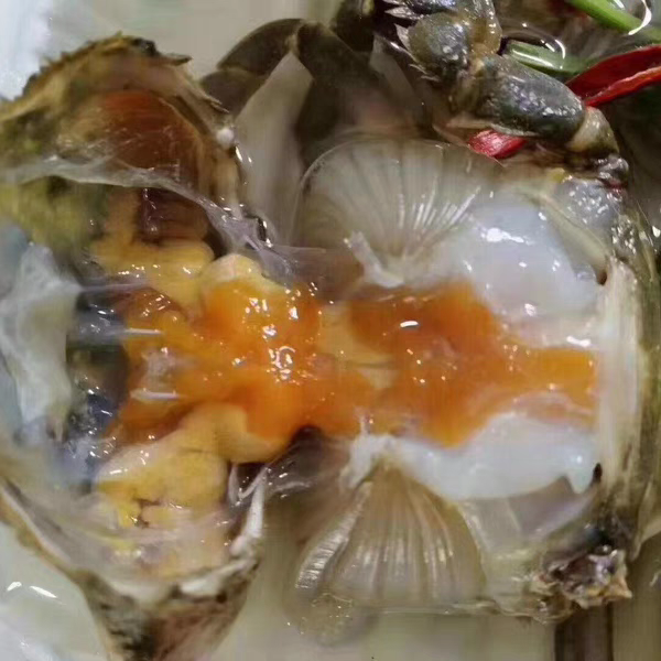 一卤鲜铜螃蟹花盖蟹生吃不可蒸煮三斤装