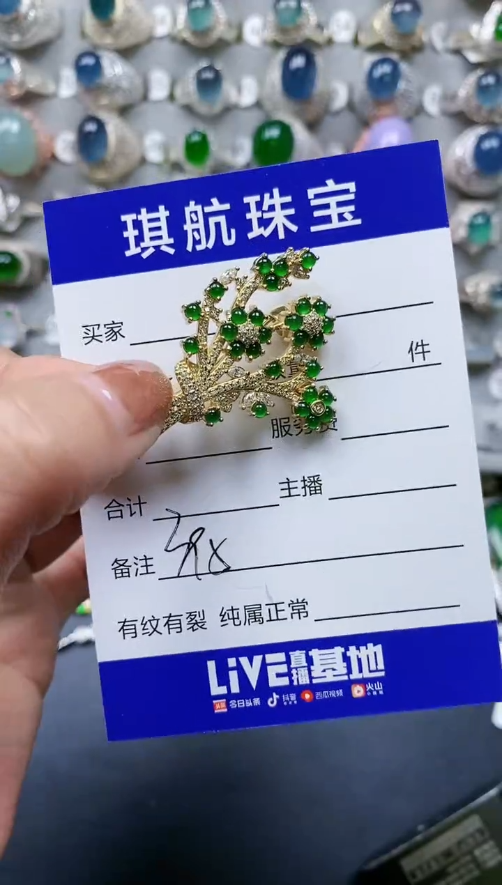 【闪购商品】翡翠颈饰银S925镶嵌0395