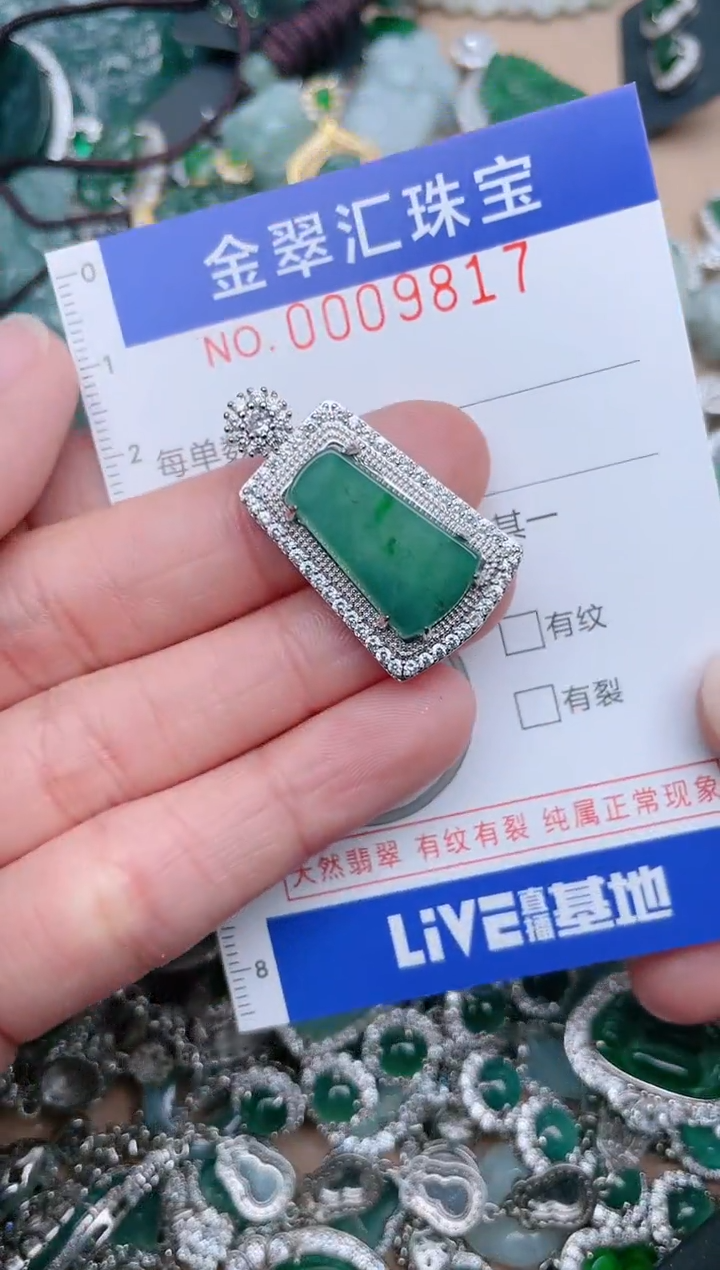 【闪购商品】翡翠颈饰未镶嵌9817.....