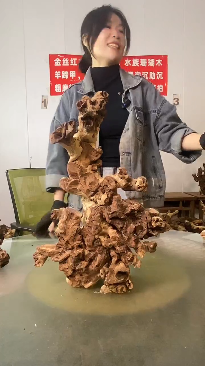 香榧木阿*哥 金丝红木 羊蹄甲