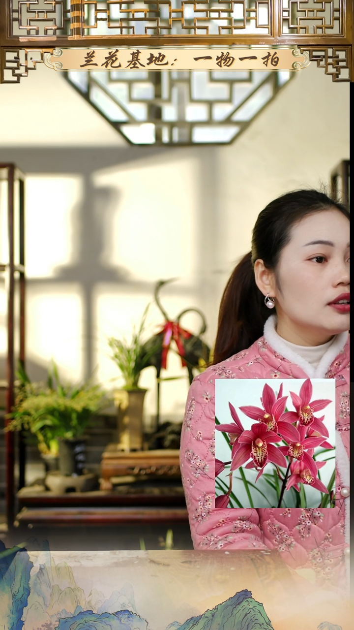 全部花苞台北小姐