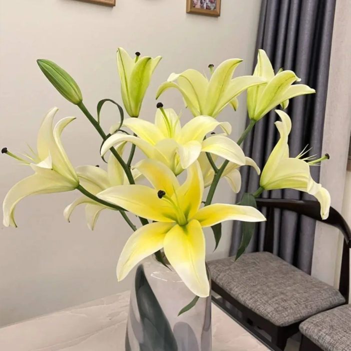 【黄天霸】大花苞浓香型香水百合满屋飘香夏天家养鲜花
