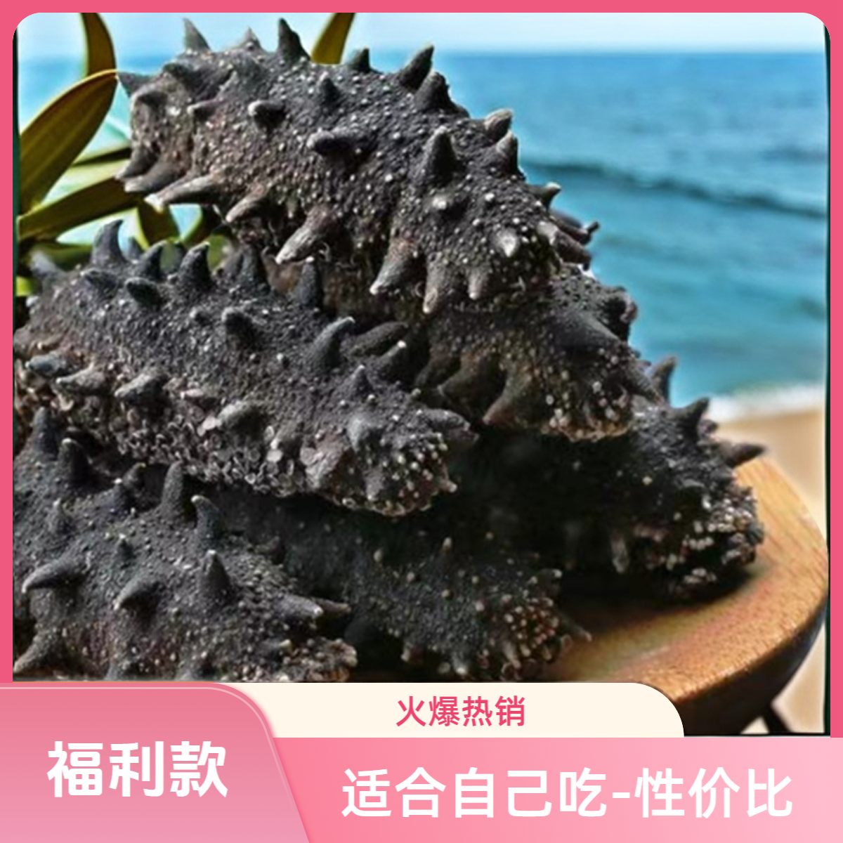 直播临时上架-干海参