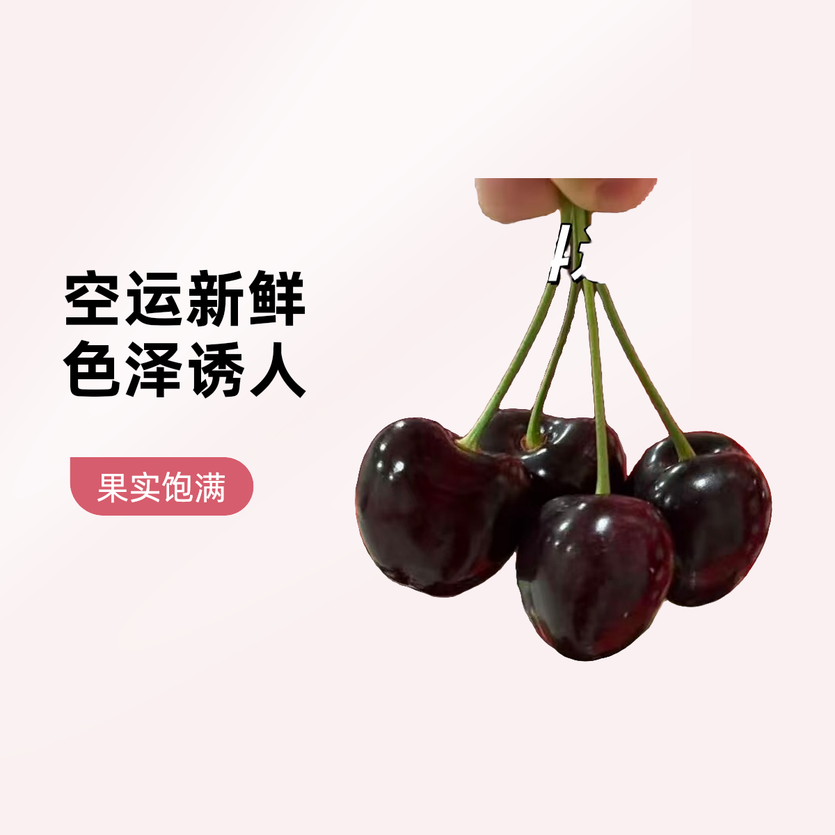 空运智利进口车厘子2J科迪亚KORDIA5斤原箱3J内附果径卡4J科迪亚樱桃智利共和国